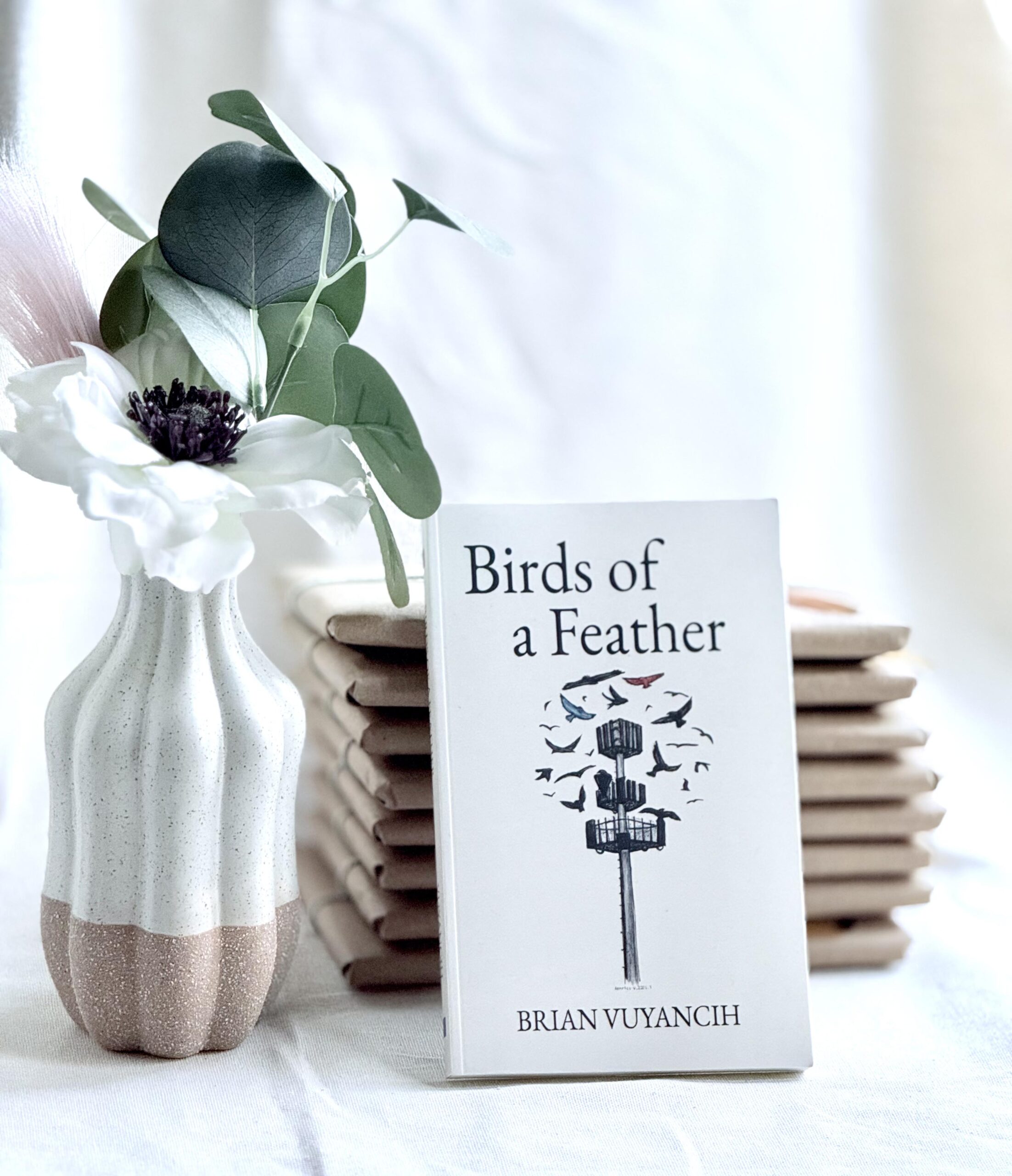 Birds of a Feather cover